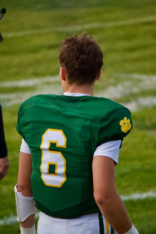 A football player seen from behind on the sideline, a yellow paw patch on the sleeve of his green jersey.